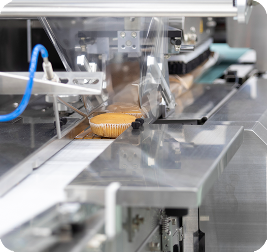 Food-Processing-R-x